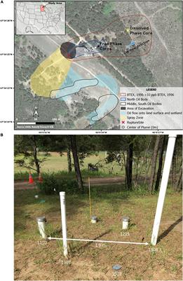 Methanogens and Their Syntrophic Partners Dominate Zones of Enhanced Magnetic Susceptibility at a Petroleum Contaminated Site